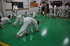 DSC01387[1]_thumb.png